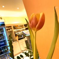 inside at Bleibergs in Berlin