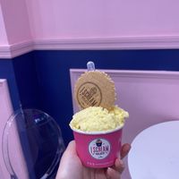 Mango  at I Scream Gelato in Miami Beach