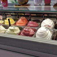 All vegan at I Scream Gelato in Miami Beach