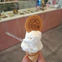 Vegan ice-cream, cone and biscuit at I Scream Gelato in Miami Beach
