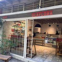   at Olaflora in Guadalajara