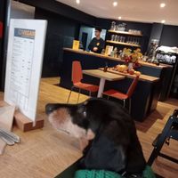 Dogs like it too at E3 Vegan in East London