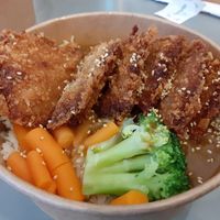 Tofu katsu at Shijo in Newcastle Upon Tyne