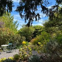 Outdoor patio at Cafe Beaujolais in Mendocino