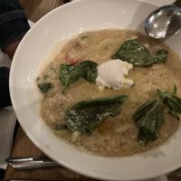 Risotto Pomodoro  at Wildseed  in Palo Alto