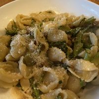 Orecchiette pasta dish   at Wildseed  in Palo Alto