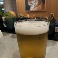   at Wildseed  in Palo Alto