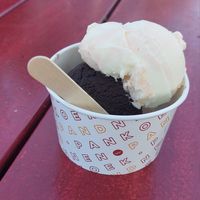 Vegan pure chocola ijs en ananas-passievrucht 😁 at PAND Pannenkoek in Schalkwijk