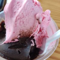 frutilla sin azúcar c/ chocolate vegano at Mundo Gelato in Chillan