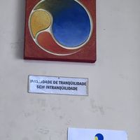   at Satori in Sao Paulo