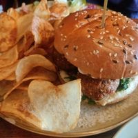 Falafel burger at Toulouse in Cluj-napoca