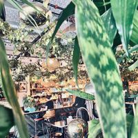   at Hey Love in Portland