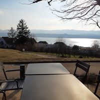 Lake view (in winter) at EPI Park in Zurich