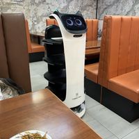 Robot  at Satya Asha Veggie Food World in Surrey