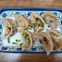 Tofu and vegetable dumplings at Nen Bei Dumpling Tea Bar in Newcastle Upon Tyne