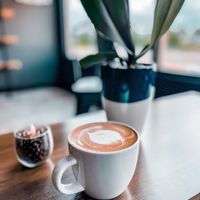   at Stock Brew in Daytona Beach