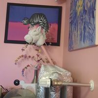 Interior at Saeta Húsið in Reykjavik