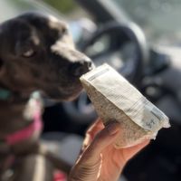   at The Realm Refillery in Portland