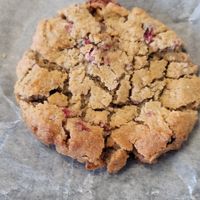 vegan cranberry cookie at Shelf Indulgence Used Book Cafe in Sarasota