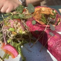   at Den Glade Gulerod in Ringkobing