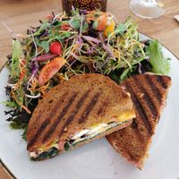 Panini at Den Glade Gulerod in Ringkobing