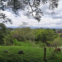 Beautiful views of the region at Aprisco La Española in Quimbaya