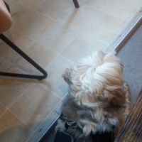  at Cafe Glow  in Edinburgh