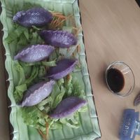 Gyozas veganas at Asia Haus Ba Ha - Vietnamesische Spezialitäten in Augsburg