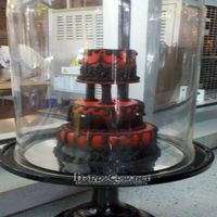  at Bleeding Heart Bakery in Chicago