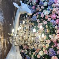 Photo area  at Son and Garden in Menlo Park