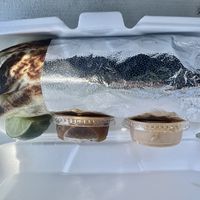 Burrito comes with two sauces (both vegan)  at Taco Stop in Tucson