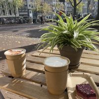   at SUE Bites Bar in Amsterdam