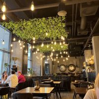 inside  at Twenty Two in Dresden