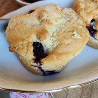  at Theeschenkerij Hof van Schoor in Nederweert