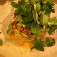 Tomatoes 'tuna' tartar at Meet Vegano in Malaga