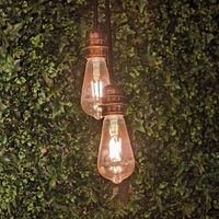  at Meet Vegano in Malaga