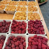   at Choices Markets - Yaletown in Vancouver