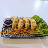 Vegan tofu gyoza at Lemongrass Thai Street Food in Sheffield