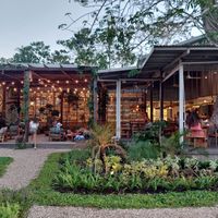View from the garde   at Alchemy in Ubud