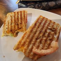  at The Owl's Nest in Olympia