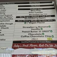 Vegan options on 5/21/22 at Bruster's Real Ice Cream in Aptos