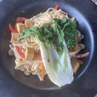 Vegan udon & tofu !  at Sea Breeze in Noord