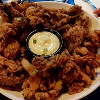Fried oyster mushrooms at The Cannon in New Haven