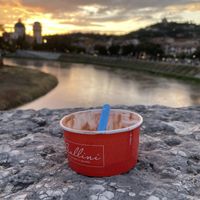 Adding a photo of my empty cup since HappyCow won’t let me post photos of vegetarian gelato?   at Gelateria Ballini in Verona