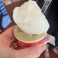 Lemon sorbet and vegan pistachio    at Gelateria Ballini in Verona
