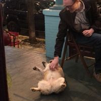 Bonus belly rubs on porch   at The Verandah Kitchen in Baltimore