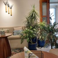  at Mana Café in Manama