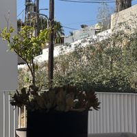 View from the patio, the bakery has vegan pies  at Ethos Vegan Suites in Santorini