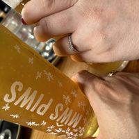   at Caffi Gwynant in Gwynedd