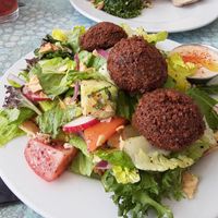  at Baladi Mediterranean Cafe in Virginia Beach